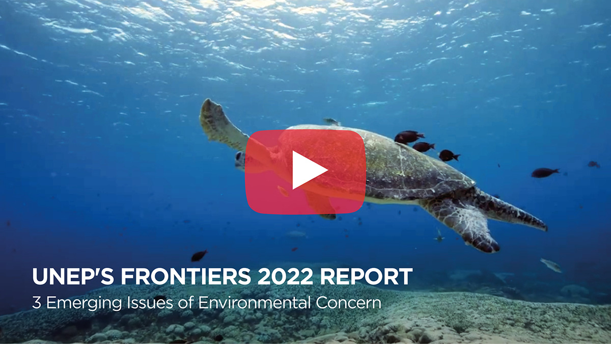 UNEP’s Frontiers Reports have cast a spotlight on emerging environmental issues.