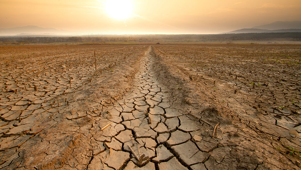 Fighting Desertification