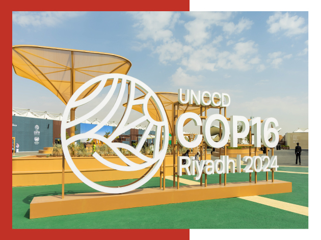 Key takeaways from UNCCD COP16 convened in Riyadh