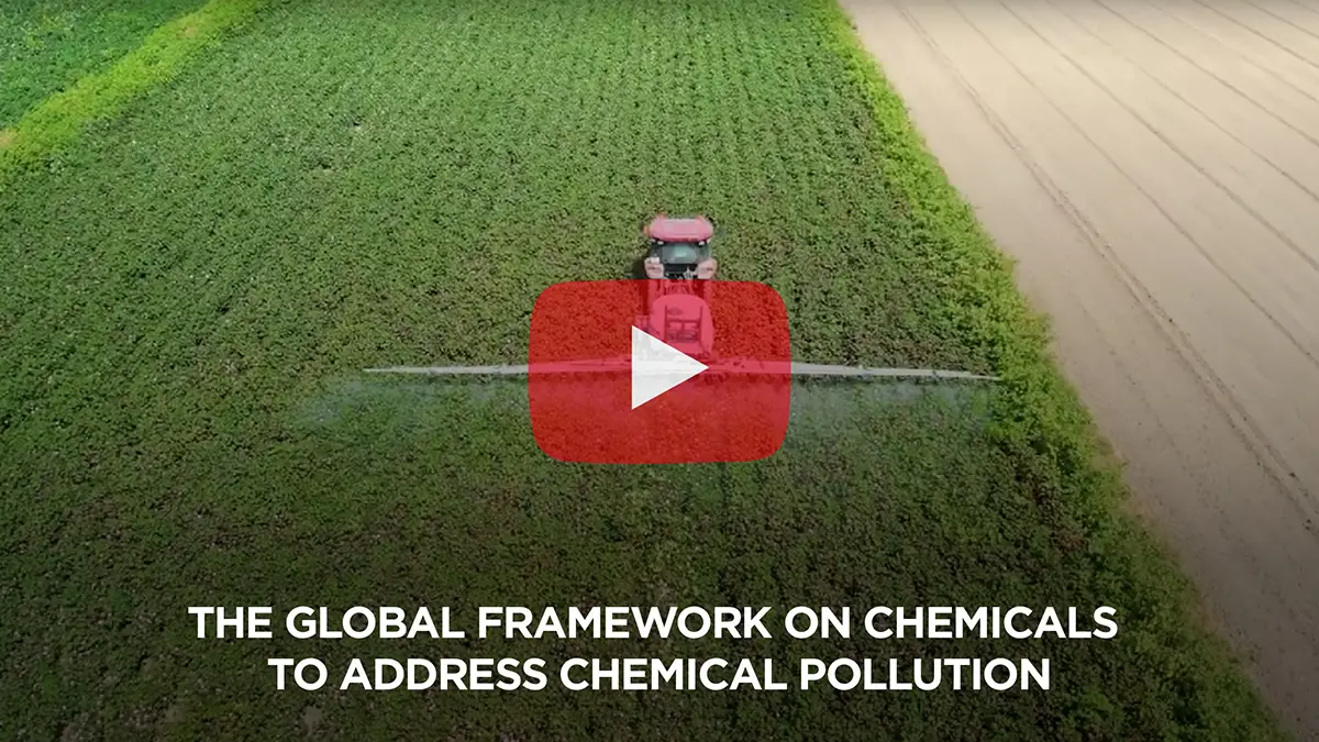 A global framework to manage chemicals: a force as old as the universe itself