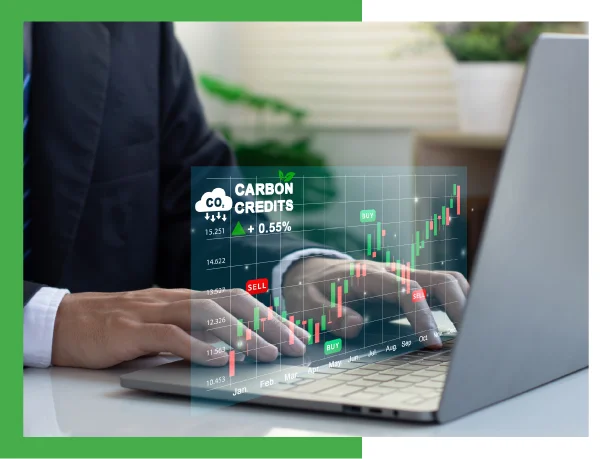 Saudi carbon trading grows with GCC-approved credits